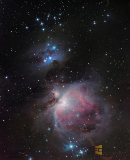 30317170 